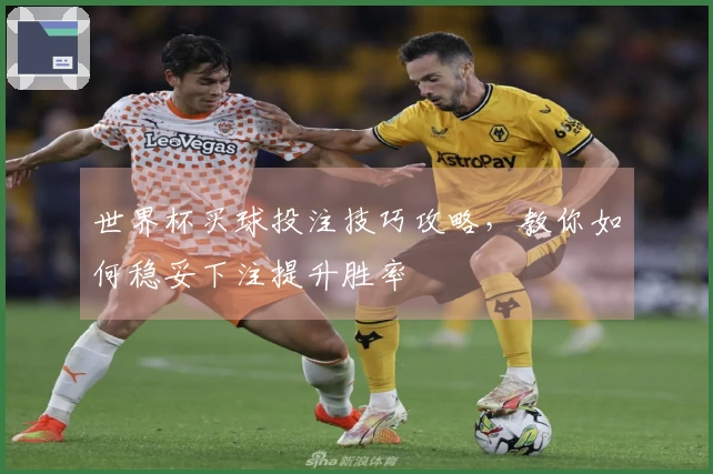 世界杯买球投注技巧攻略，教你如何稳妥下注提升胜率