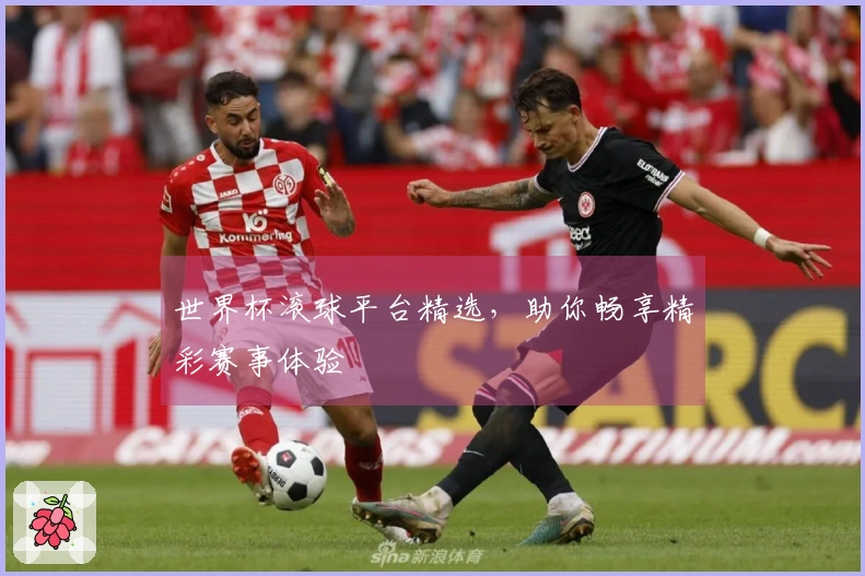 世界杯滚球平台精选，助你畅享精彩赛事体验