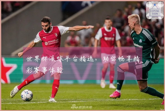 世界杯滚球平台精选，助你畅享精彩赛事体验