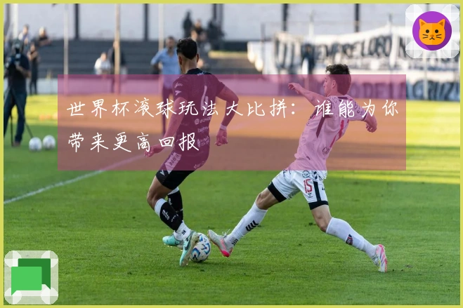 世界杯滚球玩法大比拼：谁能为你带来更高回报