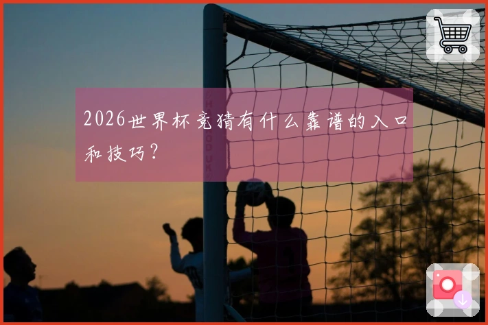 2026世界杯竞猜有什么靠谱的入口和技巧？