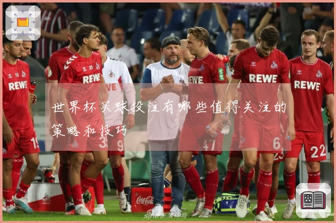 世界杯买球投注有哪些值得关注的策略和技巧